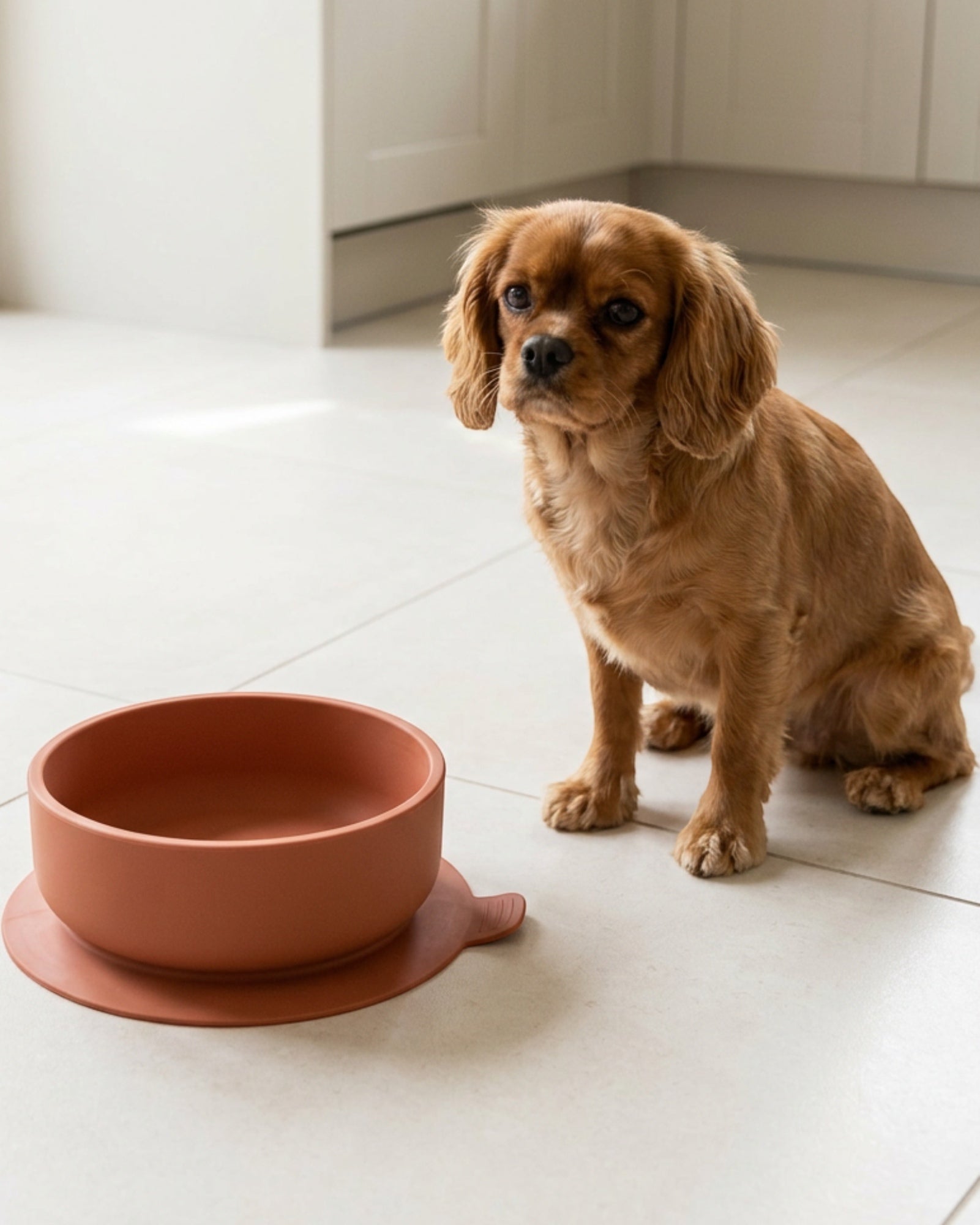 Avibe PressBase Silicone Suction Pet Bowl Clay 20 oz