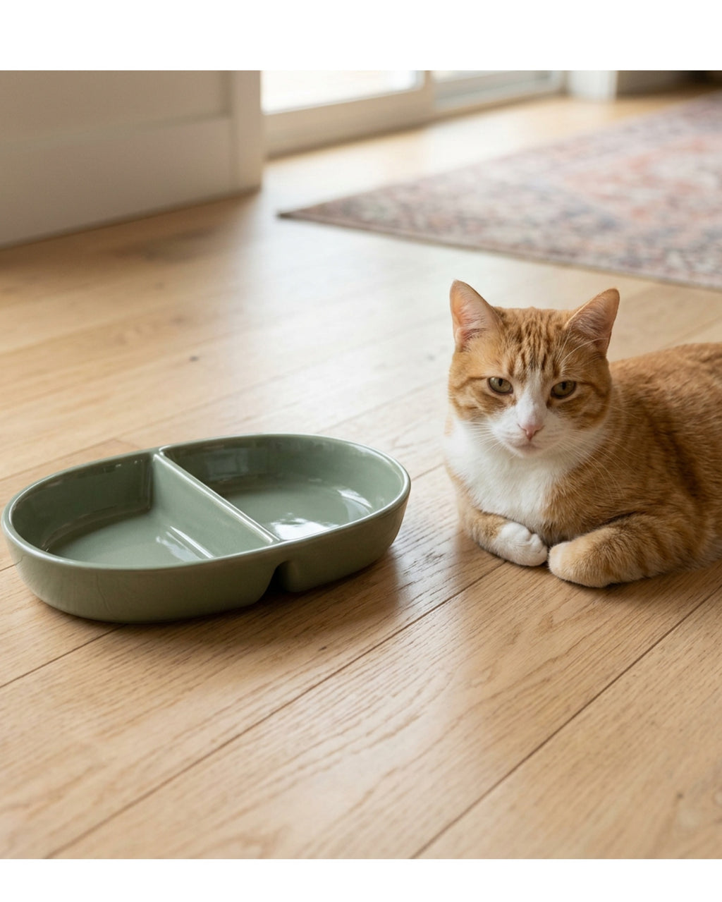 Avibe SplitServe Divided Stoneware Pet Dish Sage 18 oz