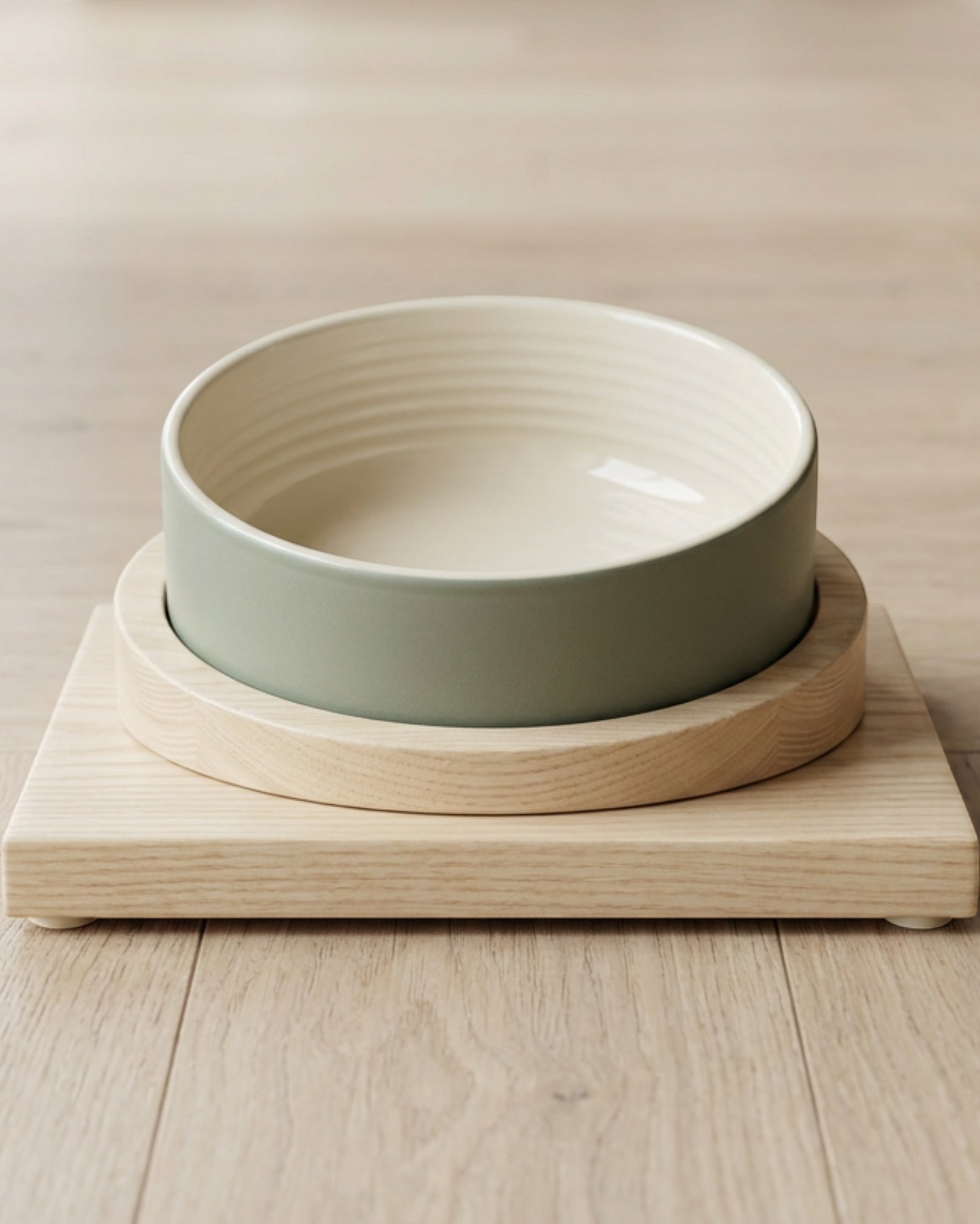 Avibe Tilted Ceramic Pet Bowl with Ash Stand 15 cm Sage - Lifestyle view